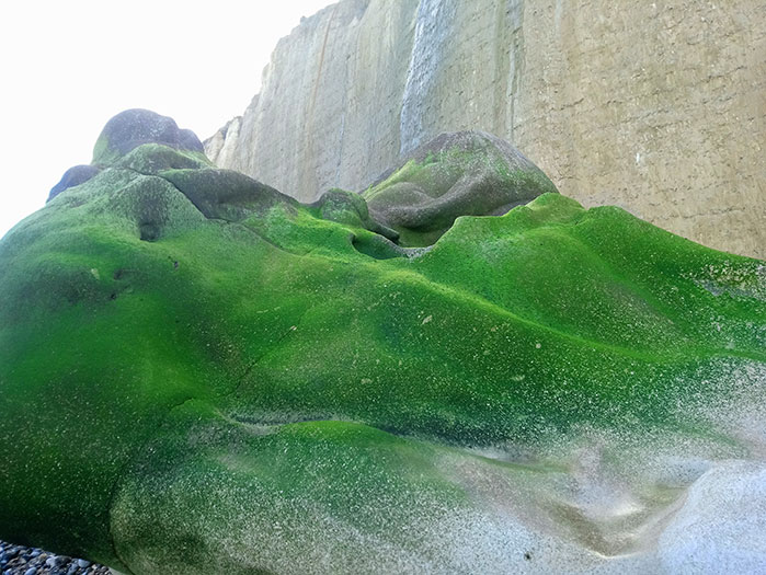 Varengeville-sur-Mer