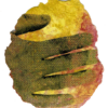 I. S. 62 Unfassbare Hand