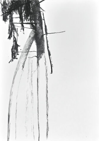 O. T. (Klosterwald), 18.12.2018, Zeichenkohle, Lithokreide, Büttenkarton, 78,3 x 54,5 cm