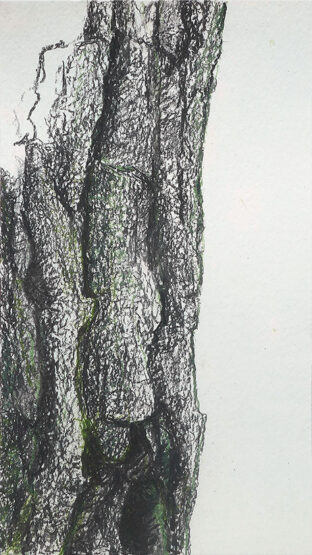 O. T. - 08.04.2024, Kohle, Pastell, Kohle, mit Aquarell getönter Zeichenkarton, 33 x 19 cm