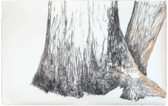 O. T., 31.07.2024, Pastell, Kohle, Büttenpapier, 38 x 61 cm