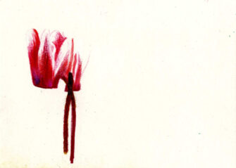 O. T., 2025, Buntstift, Zeichenkarton, 10,5 x 14,8 cm