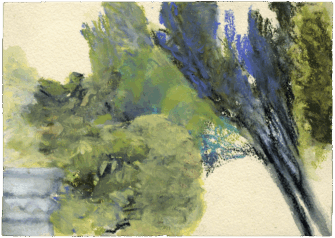 Landschaft Siran-Languedoc 2017-0503