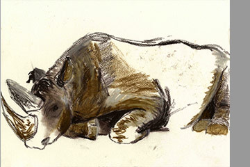 Kalusho
