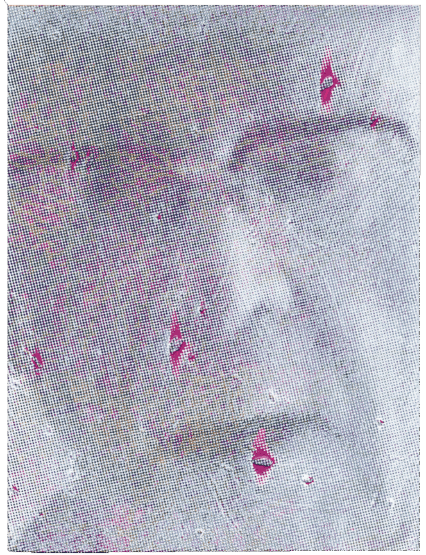O. T. (0-15-d), 13.11.2019, Siebdruck, gemalte Farbe, Acryl, Pappelsperrholztafel, 26 x 19,5 cm
